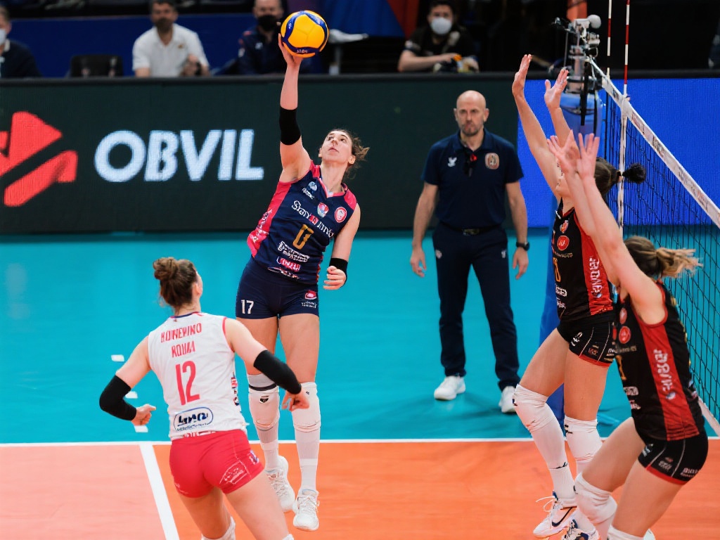 女足市场的 女足市场的