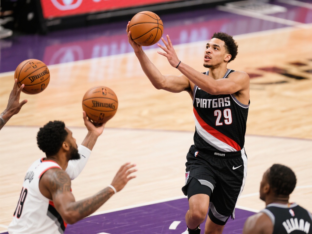 国家数量定 国家数量定